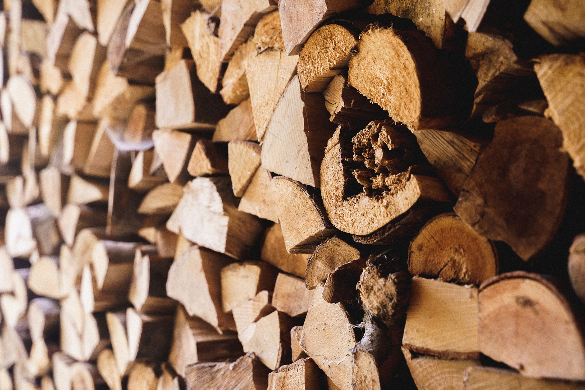 Brennholz · Heizen mit Holz im rondolino Speicherofen