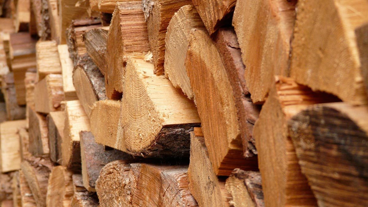 Brennholz